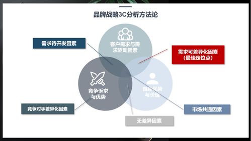 行舟品牌運(yùn)用3C定位模型助力廚房用品品牌精準(zhǔn)定位