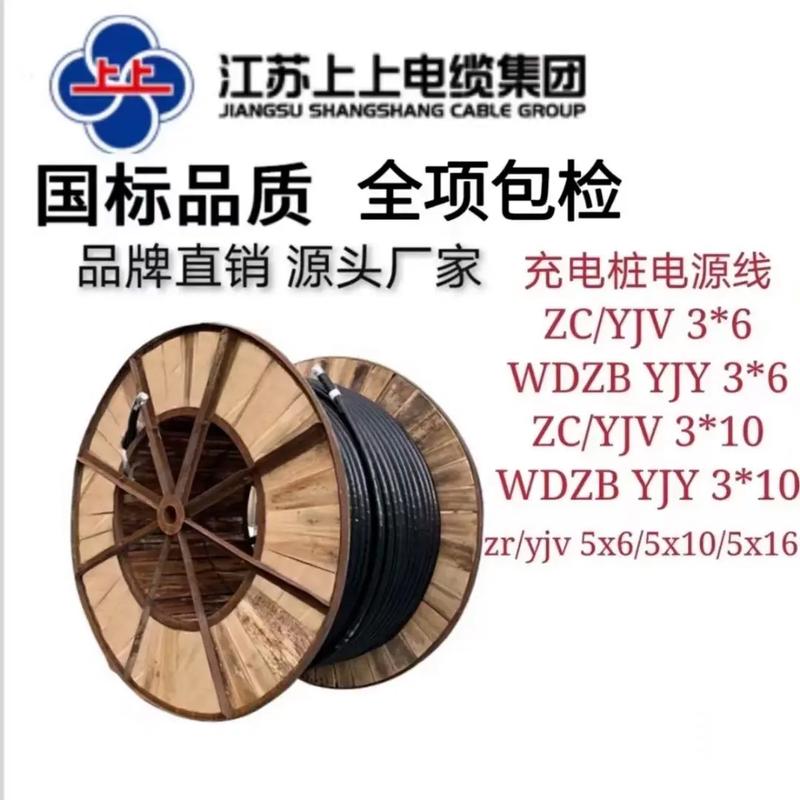電纜經營之道 從行業領先到持續卓越